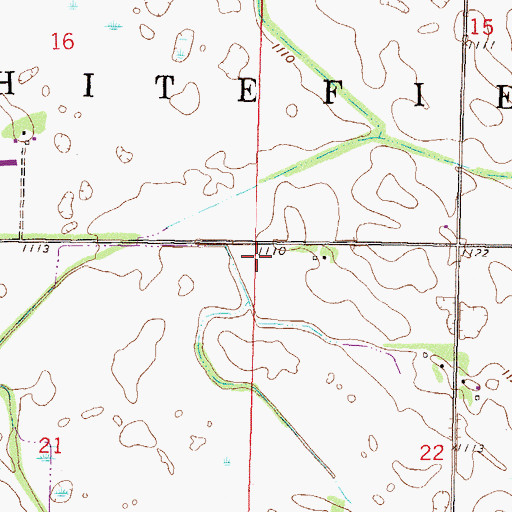 Topographic Map of Township of Whitefield, MN