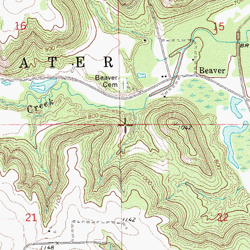 Topographic Map of Township of Whitewater, MN