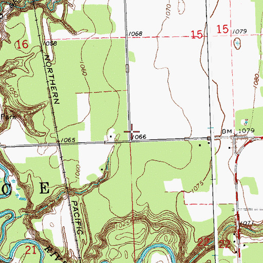 Topographic Map of Township of Wild Rice, MN