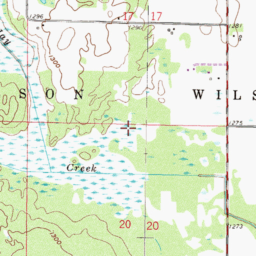 Topographic Map of Township of Wilson, MN