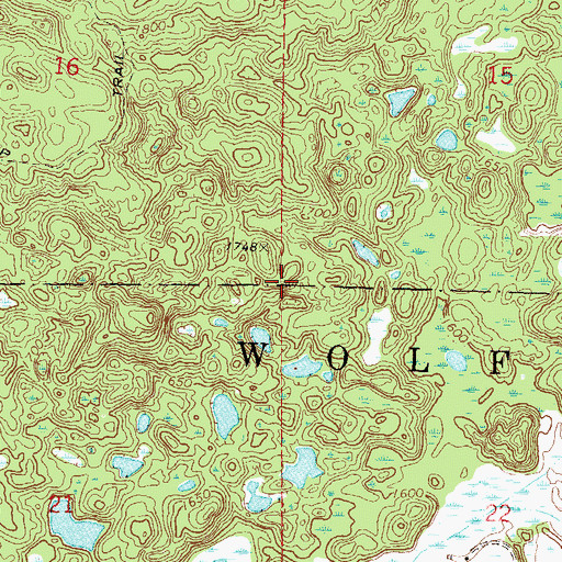 Topographic Map of Township of Wolf Lake, MN