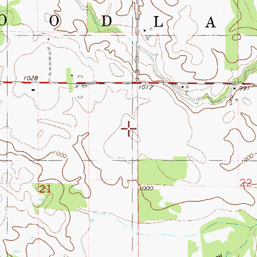 Topographic Map of Township of Woodland, MN