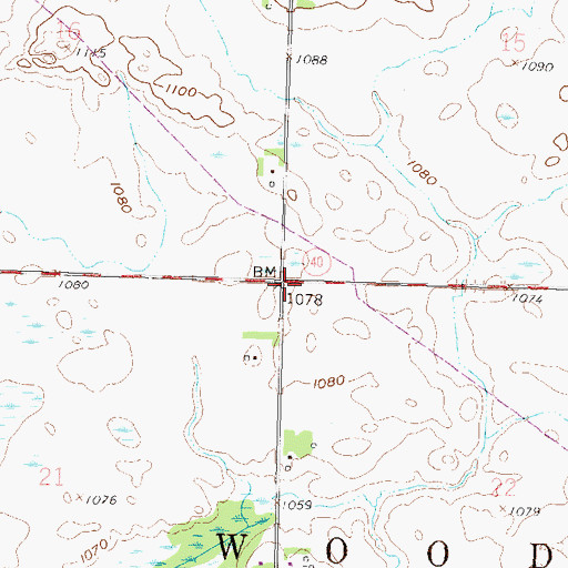 Topographic Map of Township of Woods, MN