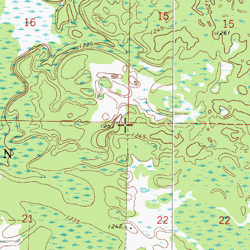 Topographic Map of Township of Workman, MN