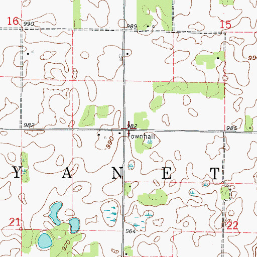Topographic Map of Township of Wyanett, MN