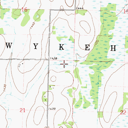 Topographic Map of Township of Wykeham, MN