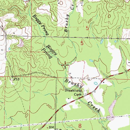 Topographic Map of Boggy Prong, MS