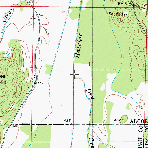Topographic Map of Blissdale Swamp, MS