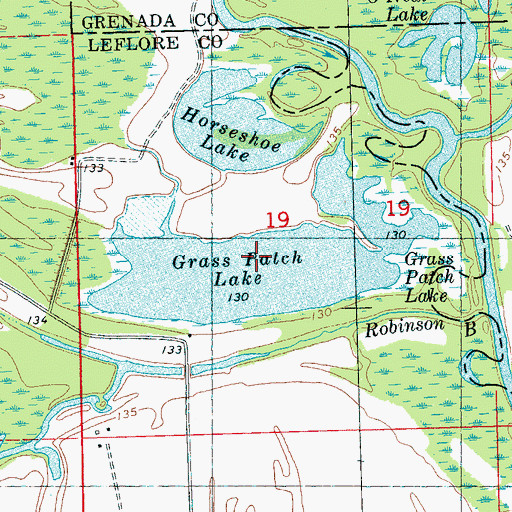 Topographic Map of Grass Patch Lake, MS