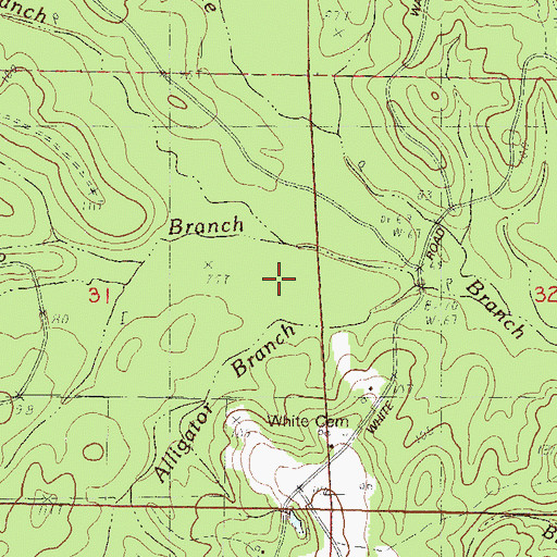 Topographic Map of Alligator Branch, MS