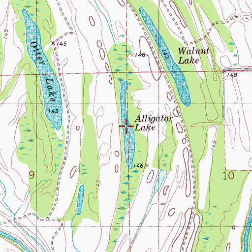 Topographic Map of Alligator Lake, MS