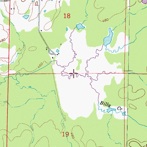 Topographic Map of Neshoba County Lake, MS