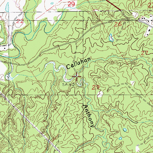 Topographic Map of Anthony Branch, MS