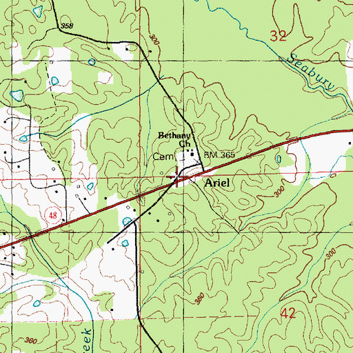 Topographic Map of Ariel, MS
