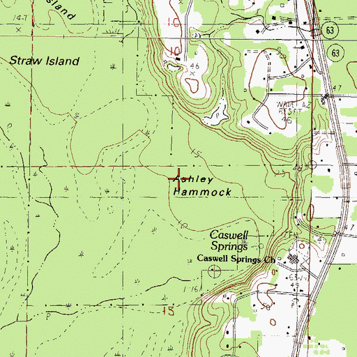 Topographic Map of Ashley Hammock, MS