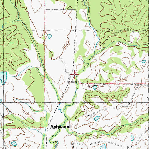 Topographic Map of Ashwood Church, MS