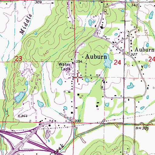 Topographic Map of Auburn, MS