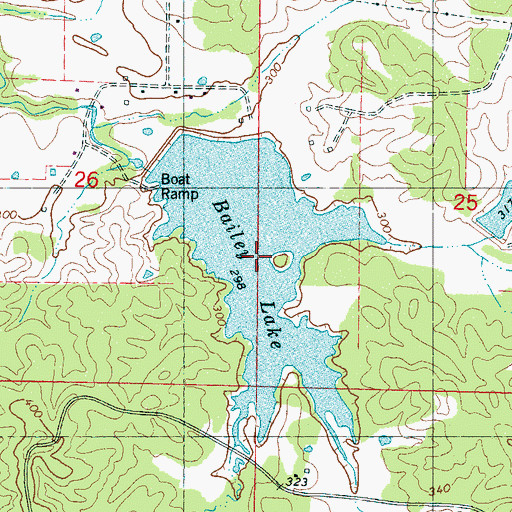 Topographic Map of Bailey Lake, MS