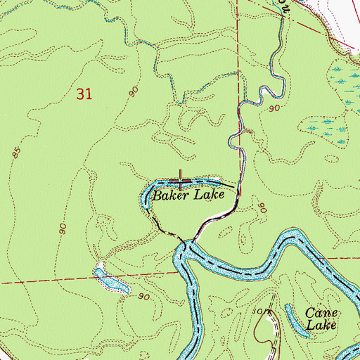 Topographic Map of Baker Lake, MS