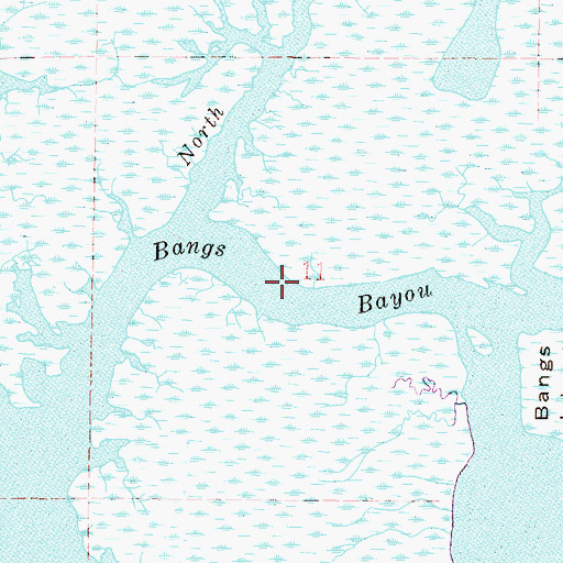 Topographic Map of Bangs Bayou, MS