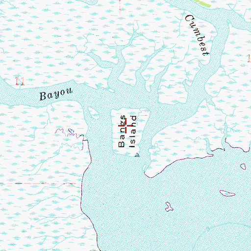 Topographic Map of Bangs Island, MS