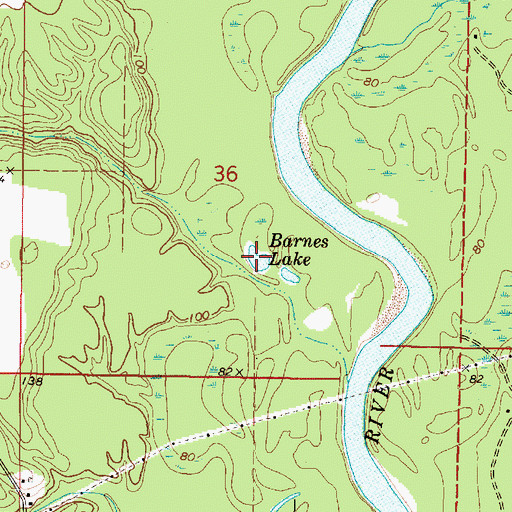 Topographic Map of Barnes Lake, MS