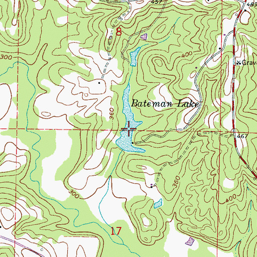 Topographic Map of Bateman Lake, MS