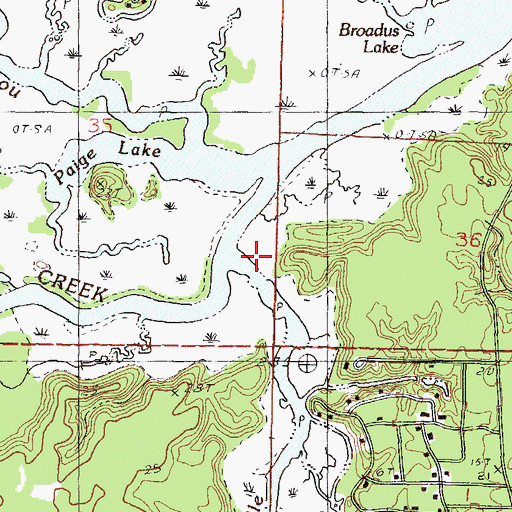 Topographic Map of Bayou Castelle, MS