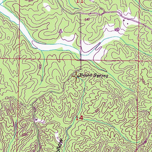 Topographic Map of Beard Spring, MS