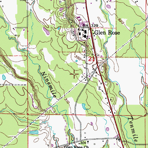 Topographic Map of Township of Saline, AR