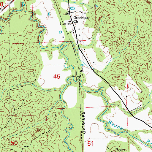 Topographic Map of Beaver Branch, MS