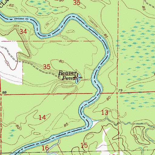 Topographic Map of Beaver Pond, MS