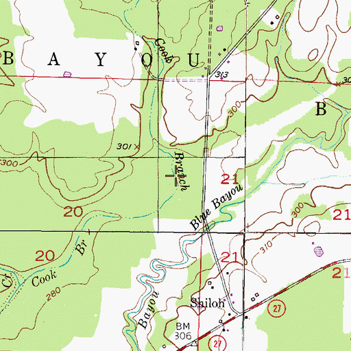 Topographic Map of Township of Blue Bayou, AR