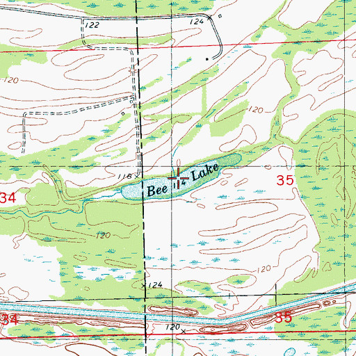 Topographic Map of Bee Lake, MS
