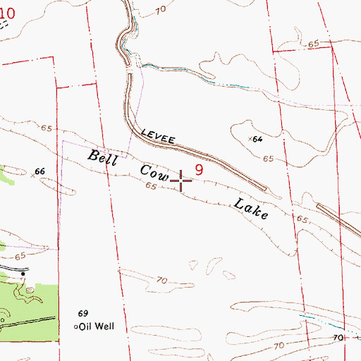 Topographic Map of Bell Cow Lake, MS