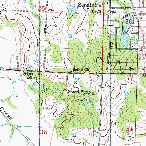Topographic Map of Bethel Church, MS