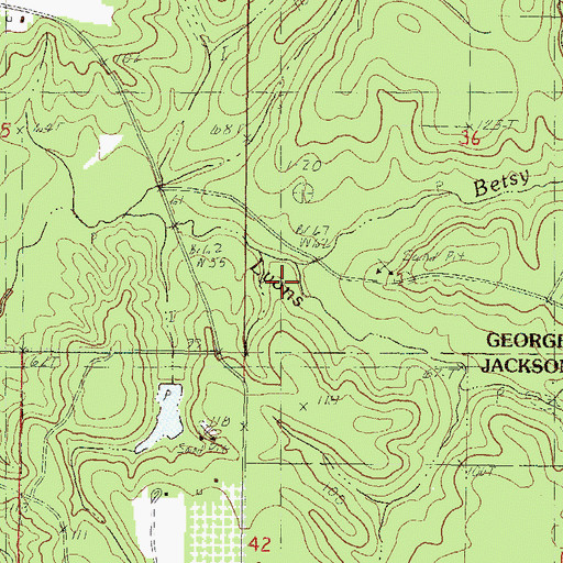 Topographic Map of Betsy Branch, MS