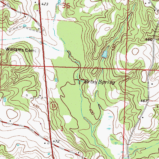 Topographic Map of Betsy Spring, MS