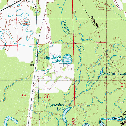 Topographic Map of Big Black Lake, MS