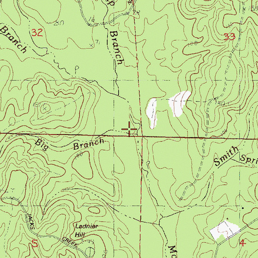 Topographic Map of Big Branch, MS
