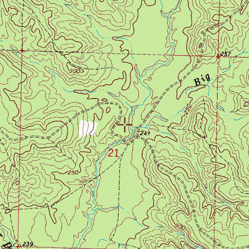 Topographic Map of Big Branch, MS