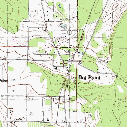 Topographic Map of Big Point, MS
