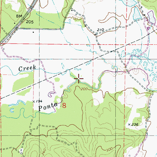 Topographic Map of Big Reed Creek, MS