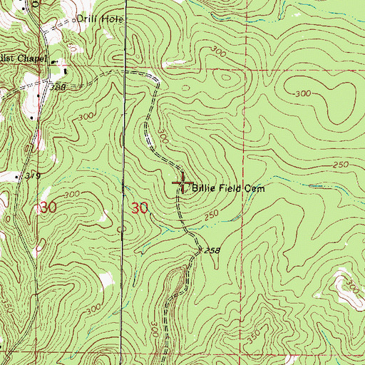 Topographic Map of Billie Field Cemetery, MS