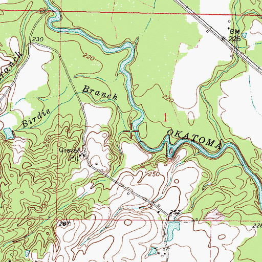 Topographic Map of Birdie Branch, MS