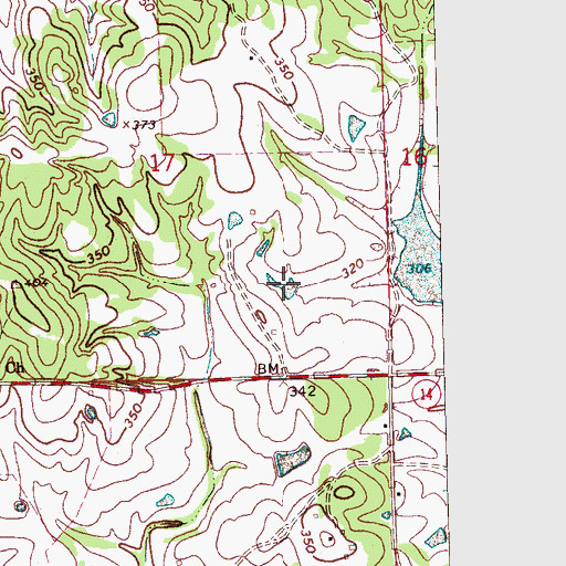 Topographic Map of Bisland Bayou, MS