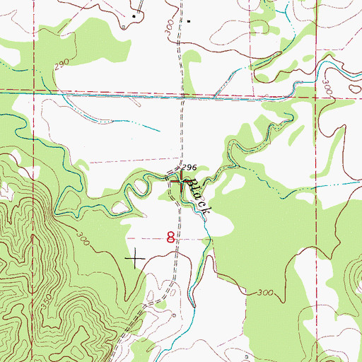 Topographic Map of Black Branch, MS