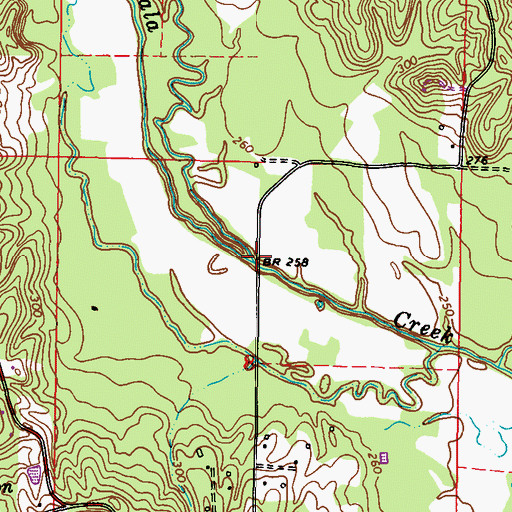 Topographic Map of Black Branch, MS