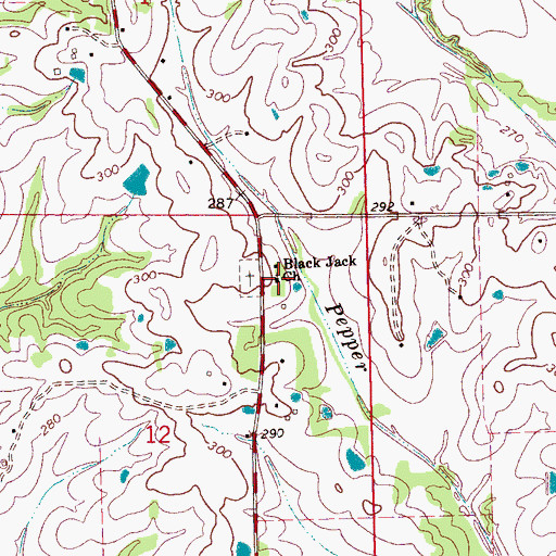 Topographic Map of Black Jack Church, MS