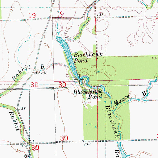Topographic Map of Blackhawk Bayou, MS